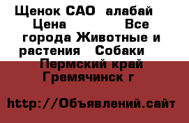 Щенок САО (алабай) › Цена ­ 10 000 - Все города Животные и растения » Собаки   . Пермский край,Гремячинск г.